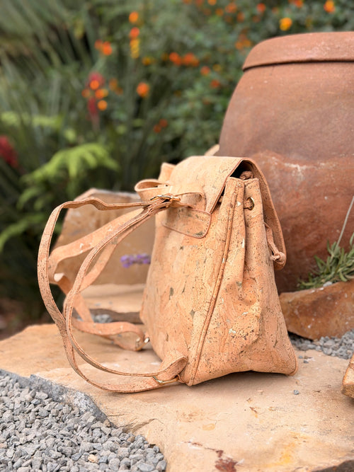 BAG-2258