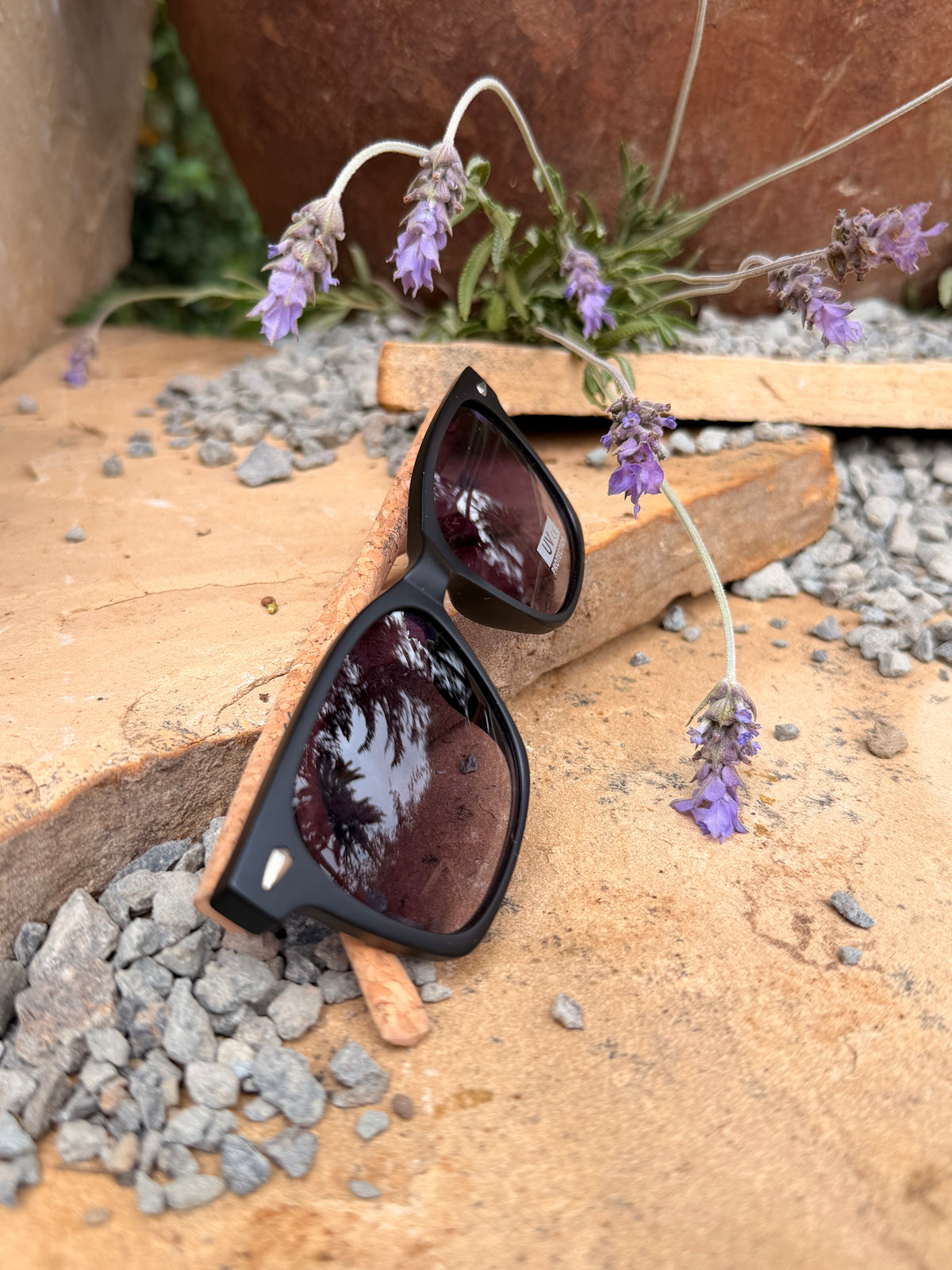 SUNGLASSES-B