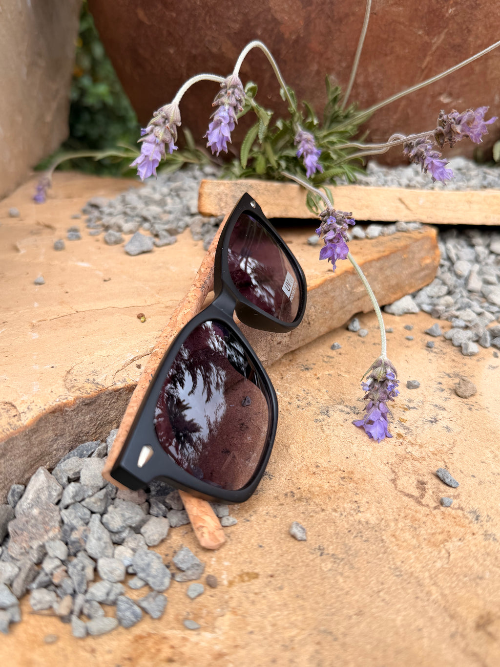 SUNGLASSES-B