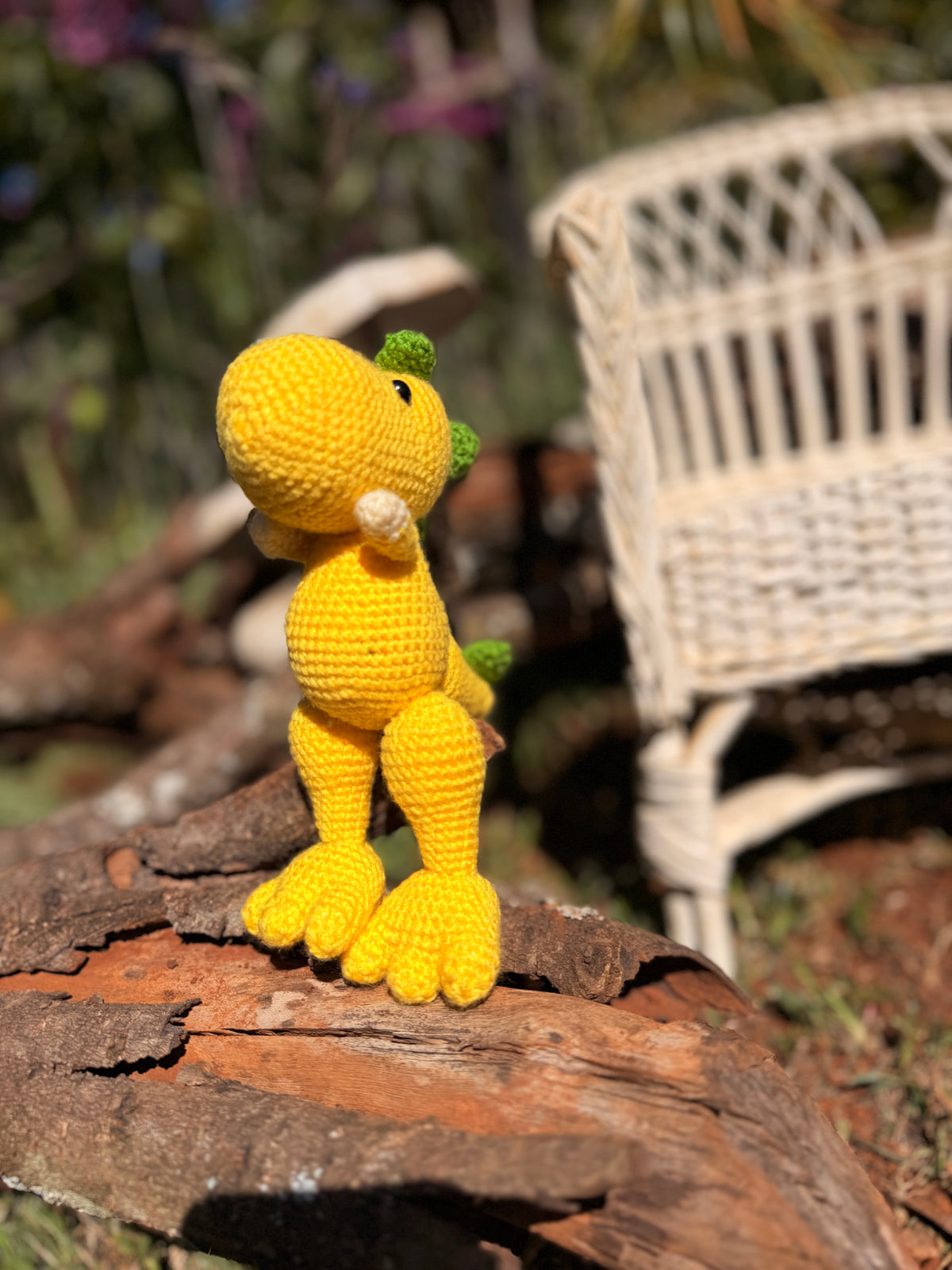 Coco Friend Dinosour