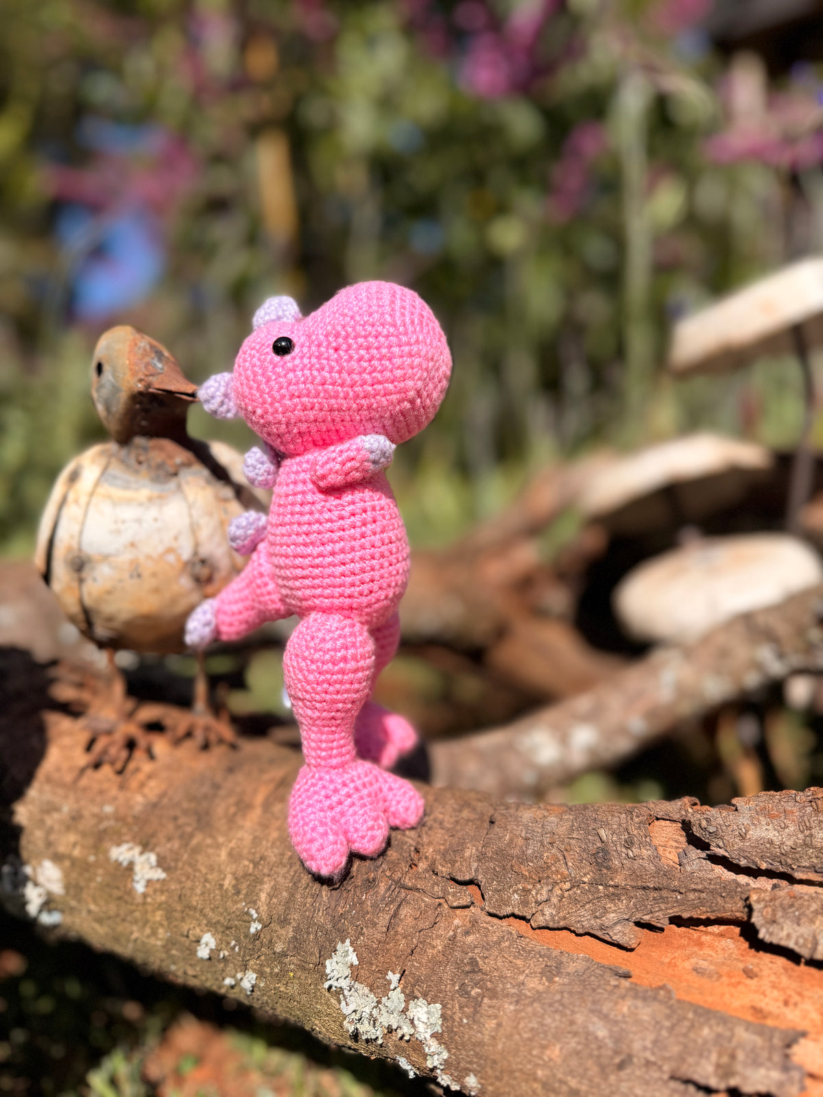 Coco Friend Dinosour