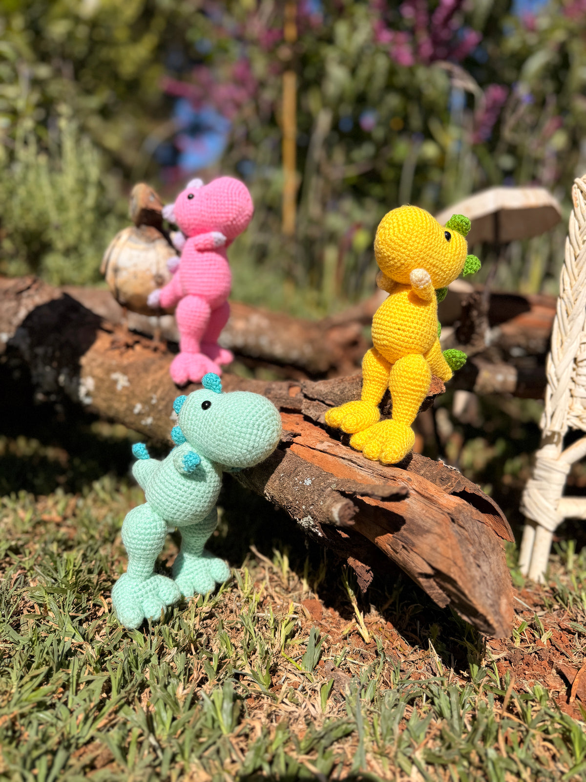 Coco Friend Dinosour