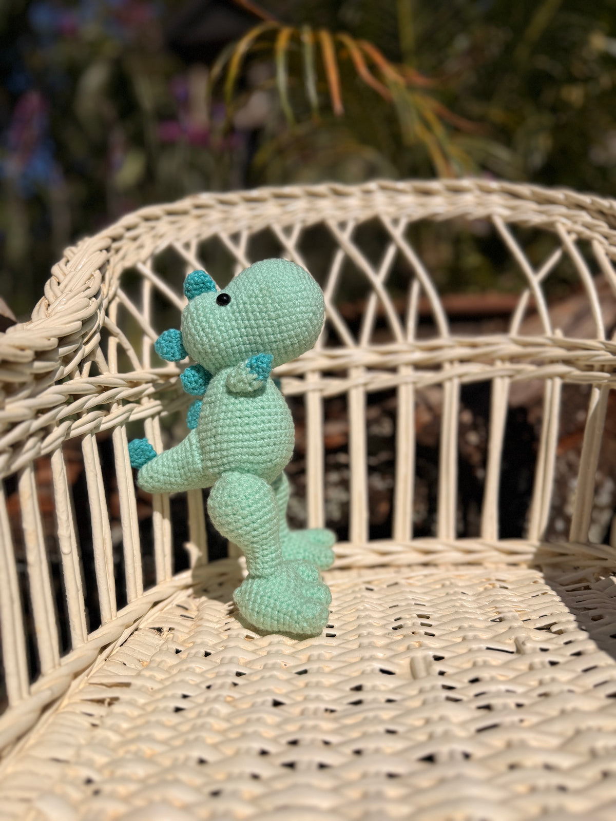 Coco Friend Dinosour