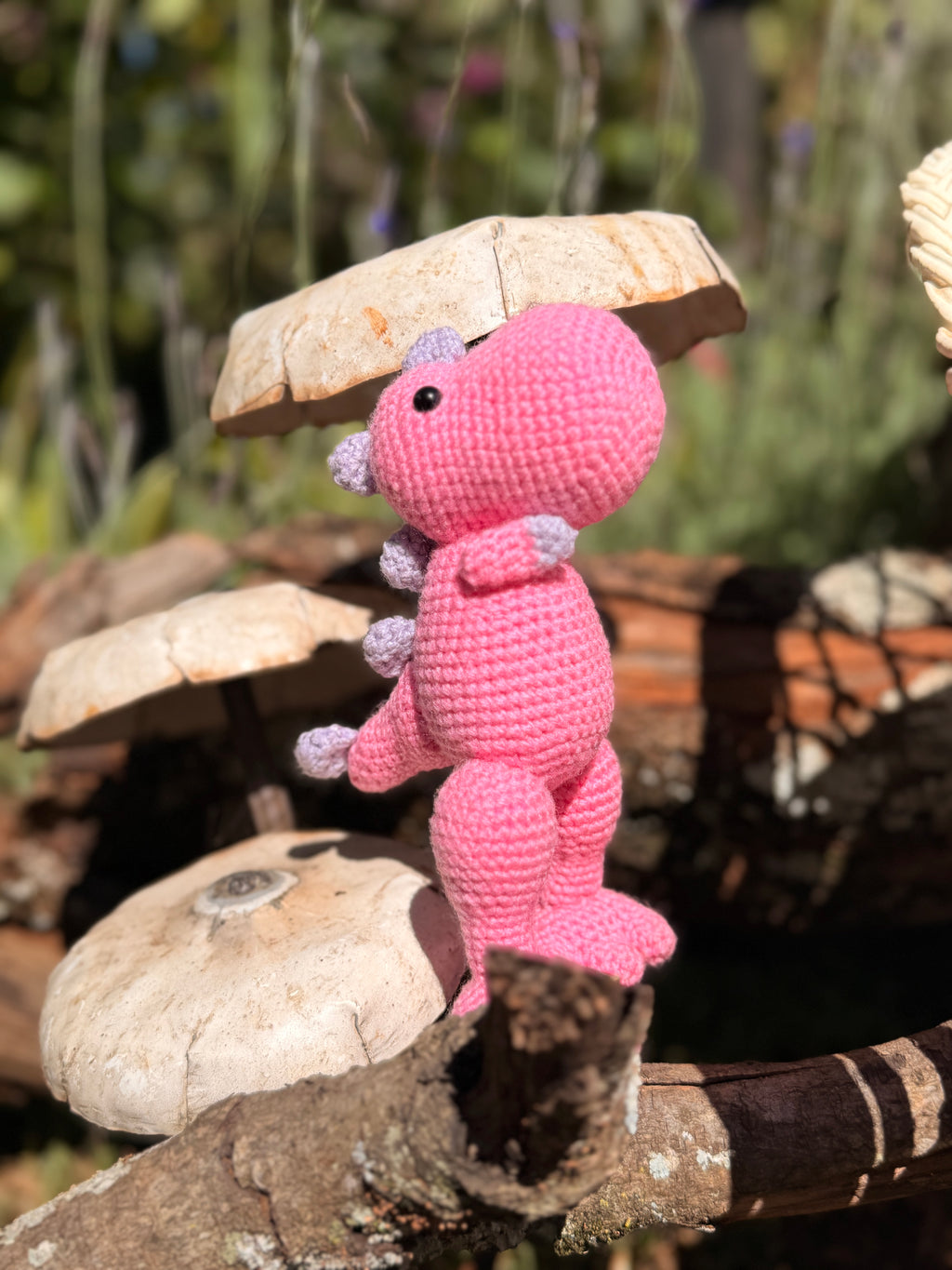 Coco Friend Dinosour